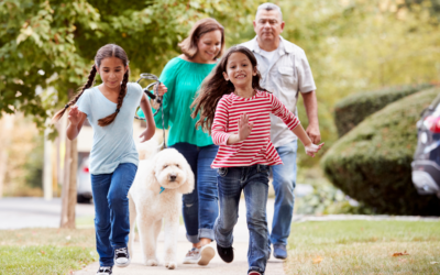 A New Phase for Neighbourhood Health and Wellbeing